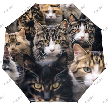 Группа очаровательных котят Складной зонтик Автоматический зонт для путешествий Компактные легкие ветрозащитные зонты
