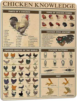  Куриные знания Металлический жестяной знак Инфографика Породы кур мира Плакат для клуба Кафе Бар Домашняя кухня Стена