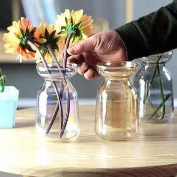 Гидропонная стартовая ваза для семян Подарок Прозрачная луковица Растущая ваза для выращивания Стеклянная ваза Цветок