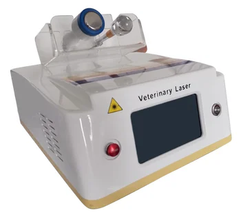 Лазерное оборудование Hola I Оборудование для высокочастотной терапии Устройство для лазерной терапии высокой мощности Veterinary Ir Cold Laser Therapy Device для лечения боли у собак